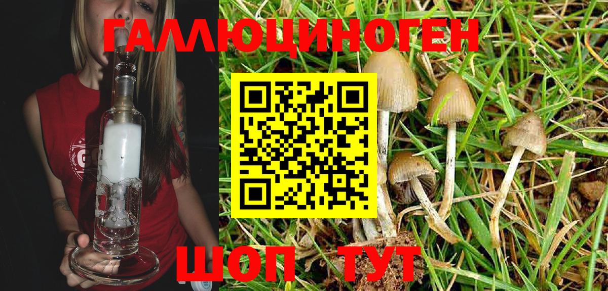 Псилоцибиновые грибы MAGIC MUSHROOMS  Вход с VPN  Королёв 