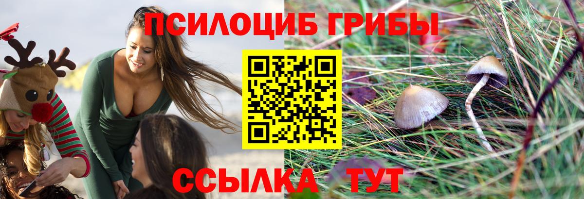 Галлюциногенные грибы GOLDEN TEACHER Королёв