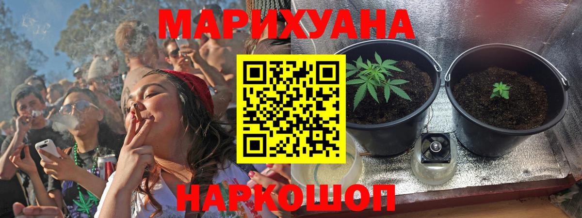 Конопля план  Бошки Шишки Amnesia  Конопля THC 21%  Королёв  Вход с VPN 